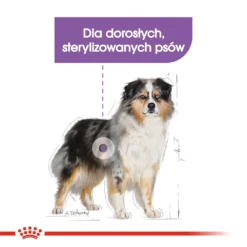 ROYAL CANIN CCN Medium Sterilised 12kg Nourriture Sèche Pour Chiens Adultes, Race Moyenne, Stérilisée -Doux Museau Soldes Magasin fre pl ROYAL CANIN CCN Medium Sterilised 12kg nourriture seche pour chiens adultes race moyenne sterilisee 25931 3