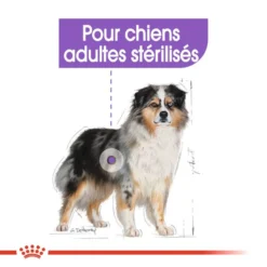 ROYAL CANIN CCN Medium Sterilised 3kg X2 -Doux Museau Soldes Magasin fre pl ROYAL CANIN CCN Medium Sterilised 3kg x2 30718 5