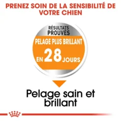 ROYAL CANIN CCN Mini Coat Care 3kg 10 ROYAL CANIN CCN Mini Coat Care 3kg -Doux Museau Soldes Magasin fre pl ROYAL CANIN CCN Mini Coat Care 3kg 16282 6