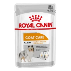 ROYAL CANIN CCN Mini Coat Care 8kg 11 ROYAL CANIN CCN Mini Coat Care 8kg -Doux Museau Soldes Magasin fre pl ROYAL CANIN CCN Mini Coat Care 8kg 10079 4