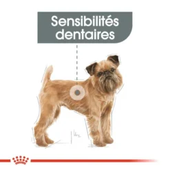 ROYAL CANIN CCN Mini Dental Care 8kg -Doux Museau Soldes Magasin fre pl ROYAL CANIN CCN Mini Dental Care 8kg 16283 6
