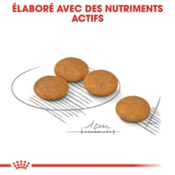 ROYAL CANIN CCN Mini Dermacomfort 3kg -Doux Museau Soldes Magasin fre pl ROYAL CANIN CCN Mini Dermacomfort 3kg 16286 2