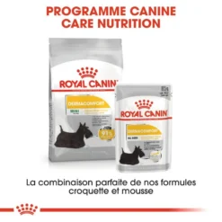 ROYAL CANIN CCN Mini Dermacomfort 3kg -Doux Museau Soldes Magasin fre pl ROYAL CANIN CCN Mini Dermacomfort 3kg 16286 3