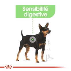 ROYAL CANIN CCN Mini Digestive Care 3kg -Doux Museau Soldes Magasin fre pl ROYAL CANIN CCN Mini Digestive Care 3kg 16288 7