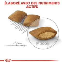 ROYAL CANIN CCN Mini Exigent 3kg 11 ROYAL CANIN CCN Mini Exigent 3kg -Doux Museau Soldes Magasin fre pl ROYAL CANIN CCN Mini Exigent 3kg 10053 5