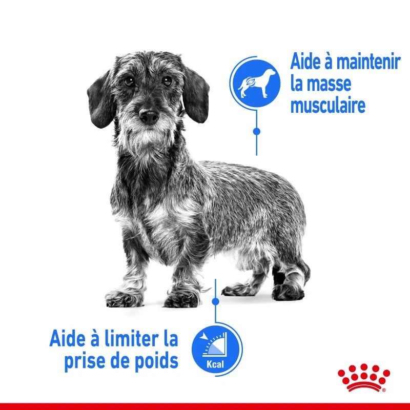 ROYAL CANIN CCN Mini Light Weight Care 1kg +OVER ZOO Délicatesse 100g GRATUIT 4 ROYAL CANIN CCN Mini Light Weight Care 1kg +OVER ZOO Délicatesse 100g GRATUIT – Image 2