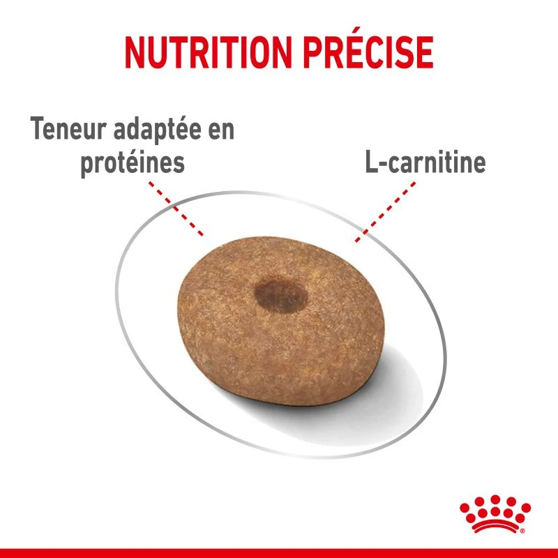 ROYAL CANIN CCN Mini Light Weight Care 1kg +OVER ZOO Délicatesse 100g GRATUIT 8 ROYAL CANIN CCN Mini Light Weight Care 1kg +OVER ZOO Délicatesse 100g GRATUIT – Image 6