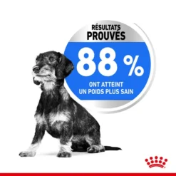 ROYAL CANIN CCN Mini Light Weight Care 8kg -Doux Museau Soldes Magasin fre pl ROYAL CANIN CCN Mini Light Weight Care 8kg 10067 6