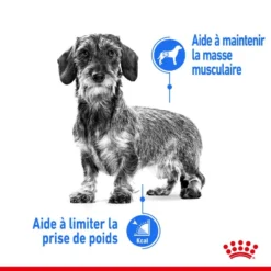 ROYAL CANIN CCN Mini Light Weight Care 8kg -Doux Museau Soldes Magasin fre pl ROYAL CANIN CCN Mini Light Weight Care 8kg 10067 7
