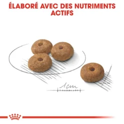 ROYAL CANIN CCN Mini Sterilised 3kg -Doux Museau Soldes Magasin fre pl ROYAL CANIN CCN Mini Sterilised 3kg 16293 6