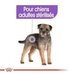 ROYAL CANIN CCN Mini Sterilised 8kg 12 ROYAL CANIN CCN Mini Sterilised 8kg -Doux Museau Soldes Magasin fre pl ROYAL CANIN CCN Mini Sterilised 8kg 16292 9