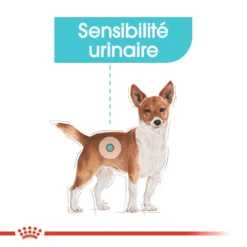 ROYAL CANIN CCN Mini Urinary Care 8kg -Doux Museau Soldes Magasin fre pl ROYAL CANIN CCN Mini Urinary Care 8kg 10085 2
