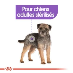 ROYAL CANIN CCN Sterilised Mini Pâté 12x85g -Doux Museau Soldes Magasin fre pl ROYAL CANIN CCN Sterilised Mini Pate 12x85g 10088 5