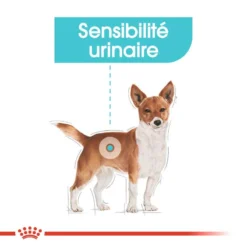 ROYAL CANIN CCN Urinary Care Pâté 12x85g 11 ROYAL CANIN CCN Urinary Care Pâté 12x85g -Doux Museau Soldes Magasin fre pl ROYAL CANIN CCN Urinary Care pate 12x85g 10087 4