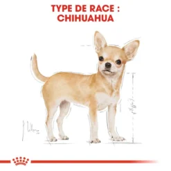 ROYAL CANIN Chihuahua Adult 500g X2 -Doux Museau Soldes Magasin fre pl ROYAL CANIN Chihuahua Adult 500g x2 30761 3