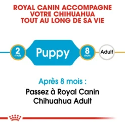 ROYAL CANIN Chihuahua Puppy 1,5kg -Doux Museau Soldes Magasin fre pl ROYAL CANIN Chihuahua Puppy 1 5kg 15969 3