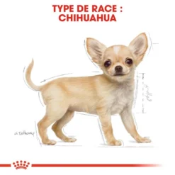 ROYAL CANIN Chihuahua Puppy 1,5kg -Doux Museau Soldes Magasin fre pl ROYAL CANIN Chihuahua Puppy 1 5kg 15969 5