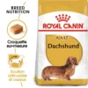 ROYAL CANIN Dachshund Adult 1,5kg 2 ROYAL CANIN Dachshund Adult 1,5kg -Doux Museau Soldes Magasin fre pl ROYAL CANIN Dachshund Adult 1 5kg 15974 1