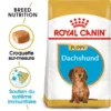 ROYAL CANIN Dachshund Puppy 1,5kg -Doux Museau Soldes Magasin fre pl ROYAL CANIN Dachshund Puppy 1 5kg 15331 1