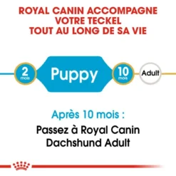 ROYAL CANIN Dachshund Puppy 1,5kg -Doux Museau Soldes Magasin fre pl ROYAL CANIN Dachshund Puppy 1 5kg 15331 2