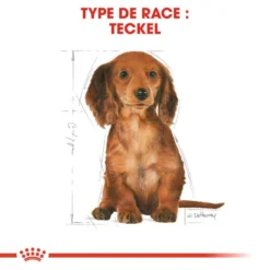 ROYAL CANIN Dachshund Puppy 1,5kg -Doux Museau Soldes Magasin fre pl ROYAL CANIN Dachshund Puppy 1 5kg 15331 7