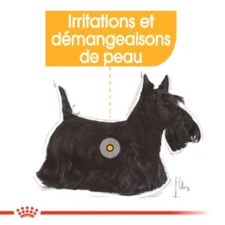 ROYAL CANIN Dermacomfort Pâté 12x85g -Doux Museau Soldes Magasin fre pl ROYAL CANIN Dermacomfort Pate 12x85g 10092 4