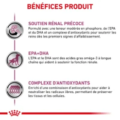 ROYAL CANIN Early Renal 2kg -Doux Museau Soldes Magasin fre pl ROYAL CANIN Early Renal 2kg 12975 3