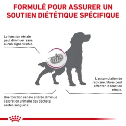 ROYAL CANIN Early Renal 2kg X2 -Doux Museau Soldes Magasin fre pl ROYAL CANIN Early Renal 2kg x2 30657 7