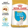 ROYAL CANIN French Bulldog Puppy 10kg -Doux Museau Soldes Magasin fre pl ROYAL CANIN French Bulldog Puppy 10kg 15978 1