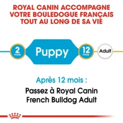 ROYAL CANIN French Bulldog Puppy 10kg -Doux Museau Soldes Magasin fre pl ROYAL CANIN French Bulldog Puppy 10kg 15978 3