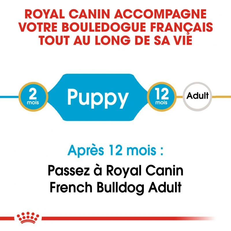 ROYAL CANIN French Bulldog Puppy 3kg 4 ROYAL CANIN French Bulldog Puppy 3kg – Image 2
