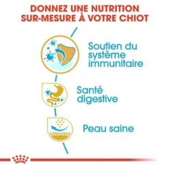 ROYAL CANIN French Bulldog Puppy 3kg 10 ROYAL CANIN French Bulldog Puppy 3kg -Doux Museau Soldes Magasin fre pl ROYAL CANIN French Bulldog Puppy 3kg 15997 5