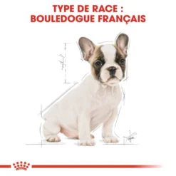 ROYAL CANIN French Bulldog Puppy 3kg 12 ROYAL CANIN French Bulldog Puppy 3kg -Doux Museau Soldes Magasin fre pl ROYAL CANIN French Bulldog Puppy 3kg 15997 6