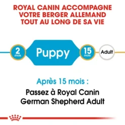ROYAL CANIN German Shepherd Puppy 3kg 11 ROYAL CANIN German Shepherd Puppy 3kg -Doux Museau Soldes Magasin fre pl ROYAL CANIN German Shepherd Puppy 3kg 16007 2