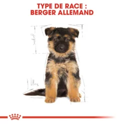 ROYAL CANIN German Shepherd Puppy 3kg 12 ROYAL CANIN German Shepherd Puppy 3kg -Doux Museau Soldes Magasin fre pl ROYAL CANIN German Shepherd Puppy 3kg 16007 4