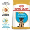 ROYAL CANIN German Shepherd Puppy 3kg X2 -Doux Museau Soldes Magasin fre pl ROYAL CANIN German Shepherd Puppy 3kg x2 30765 1