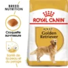 ROYAL CANIN Golden Retriever Adult 12kg 2 ROYAL CANIN Golden Retriever Adult 12kg -Doux Museau Soldes Magasin fre pl ROYAL CANIN Golden Retriever Adult 12kg 16018 1