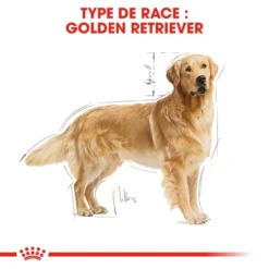 ROYAL CANIN Golden Retriever Adult 12kg -Doux Museau Soldes Magasin fre pl ROYAL CANIN Golden Retriever Adult 12kg 16018 3