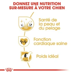 ROYAL CANIN Golden Retriever Adult 12kg -Doux Museau Soldes Magasin fre pl ROYAL CANIN Golden Retriever Adult 12kg 16018 5