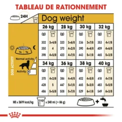 ROYAL CANIN Golden Retriever Adult 12kg -Doux Museau Soldes Magasin fre pl ROYAL CANIN Golden Retriever Adult 12kg 16018 6