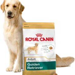 ROYAL CANIN Golden Retriever Adult 12kg + Surprise Pour Votre Chien GRATUITES ! -Doux Museau Soldes Magasin fre pl ROYAL CANIN Golden Retriever Adult 12kg surprise pour votre chien GRATUITES 17874 3