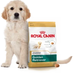ROYAL CANIN Golden Retriever Puppy 12kg + Surprise Pour Votre Chien GRATUITES ! -Doux Museau Soldes Magasin fre pl ROYAL CANIN Golden Retriever Puppy 12kg surprise pour votre chien GRATUITES 17884 4