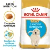 ROYAL CANIN Golden Retriever Puppy 3kg -Doux Museau Soldes Magasin fre pl ROYAL CANIN Golden Retriever Puppy 3kg 16020 1