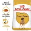 ROYAL CANIN Great Dane Adult 12kg