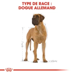 ROYAL CANIN Great Dane Adult 12kg -Doux Museau Soldes Magasin fre pl ROYAL CANIN Great Dane Adult 12kg 9213 3