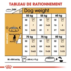 ROYAL CANIN Great Dane Adult 12kg -Doux Museau Soldes Magasin fre pl ROYAL CANIN Great Dane Adult 12kg 9213 6