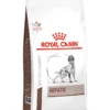ROYAL CANIN Hepatic 6kg