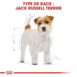 ROYAL CANIN Jack Russell Terrier Adult 1,5kg -Doux Museau Soldes Magasin fre pl ROYAL CANIN Jack Russell Terrier Adult 1 5kg 16916 6