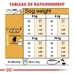 ROYAL CANIN Jack Russell Terrier Adult 500g X2 -Doux Museau Soldes Magasin fre pl ROYAL CANIN Jack Russell Terrier Adult 500g x2 30602 4