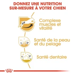 ROYAL CANIN Jack Russell Terrier Adult 7,5kg -Doux Museau Soldes Magasin fre pl ROYAL CANIN Jack Russell Terrier Adult 7 5kg 15345 4